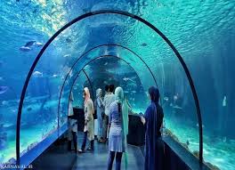 Visiting Isfahan Aquarium and Reptiles Garden